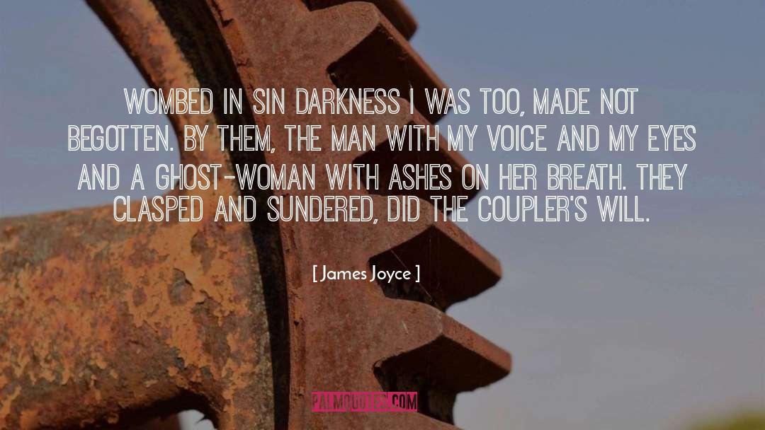 Ashes quotes by James Joyce