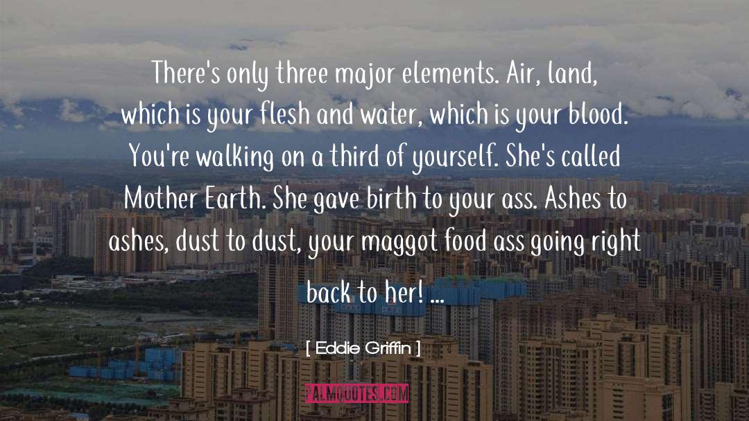 Ashes To Ashes quotes by Eddie Griffin