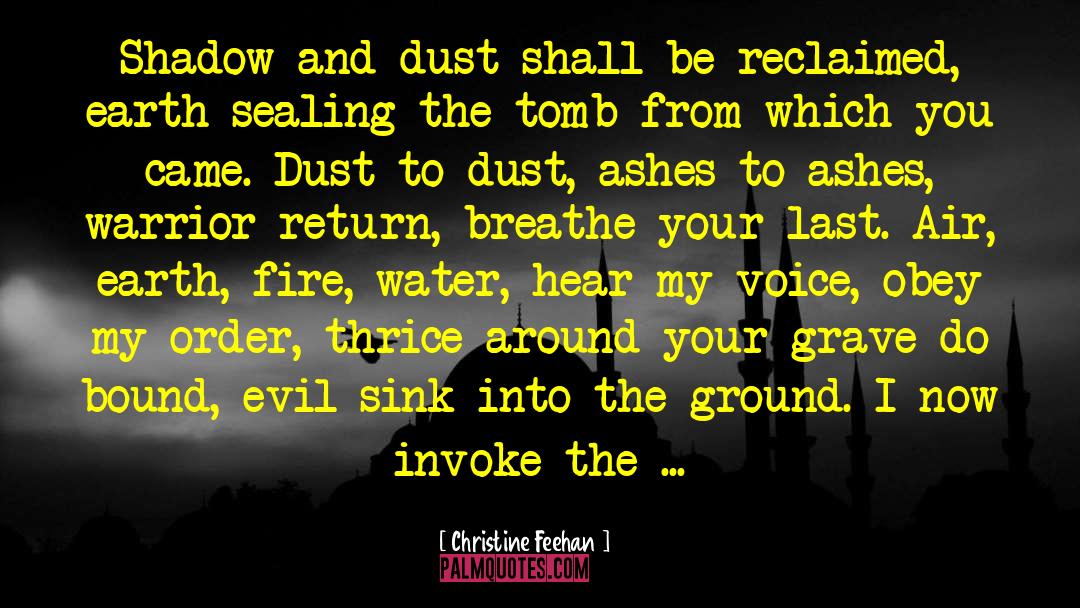 Ashes To Ashes quotes by Christine Feehan