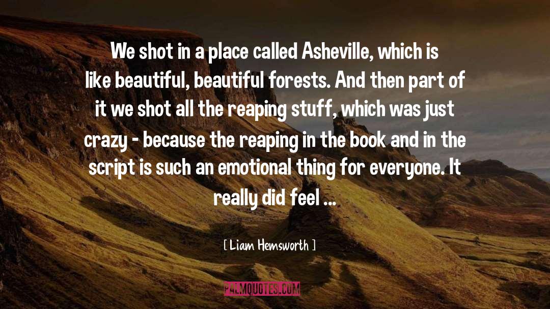 Asheville quotes by Liam Hemsworth