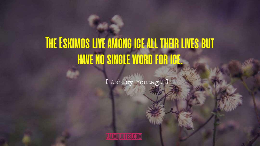 Ashley Empowers quotes by Ashley Montagu