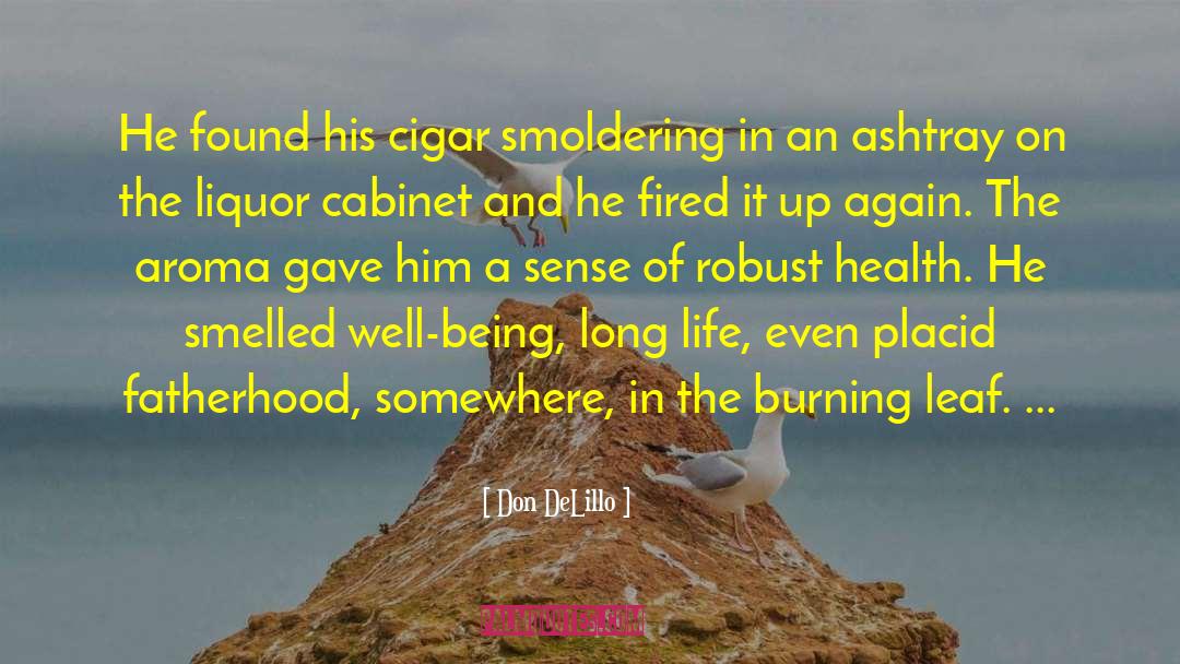Ashtray quotes by Don DeLillo