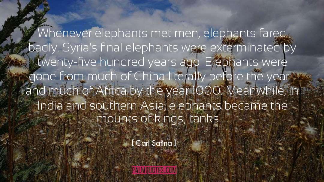 Asian Elephants quotes by Carl Safina