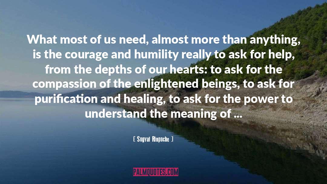 Ask For Help quotes by Sogyal Rinpoche