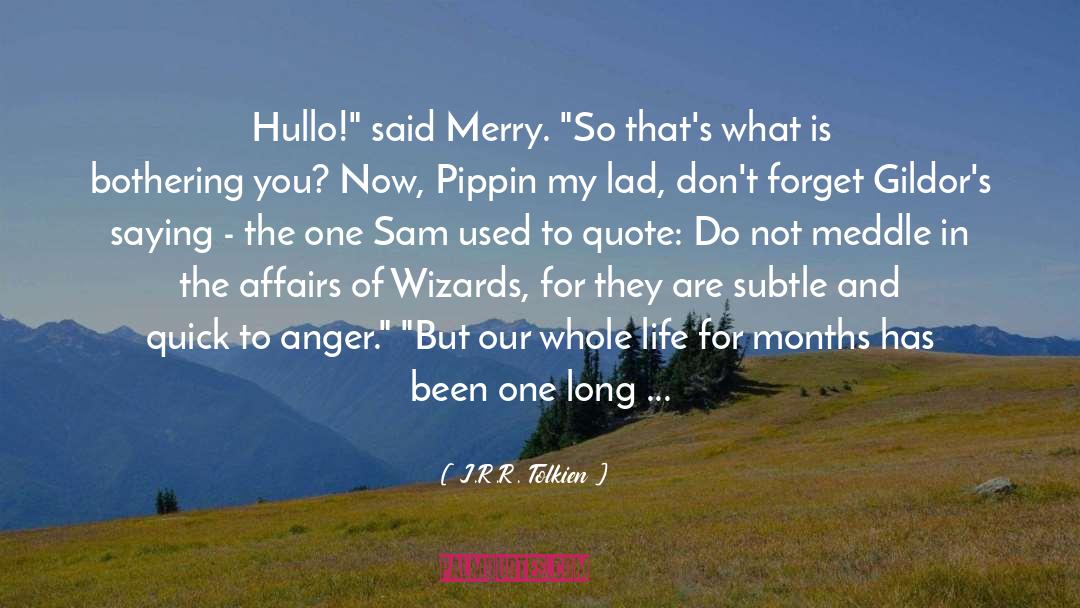 Ask One Question quotes by J.R.R. Tolkien