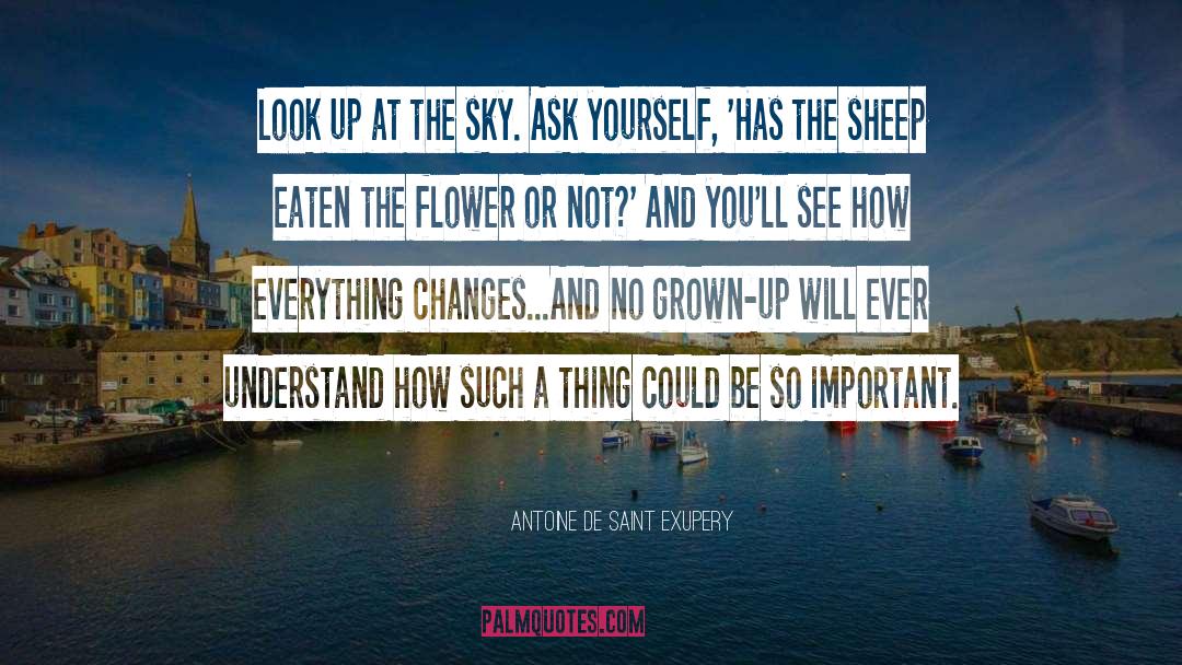 Ask Yourself quotes by Antoine De Saint Exupery