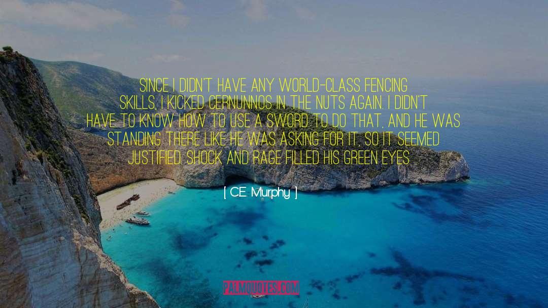 Asking For Forgiveness quotes by C.E. Murphy