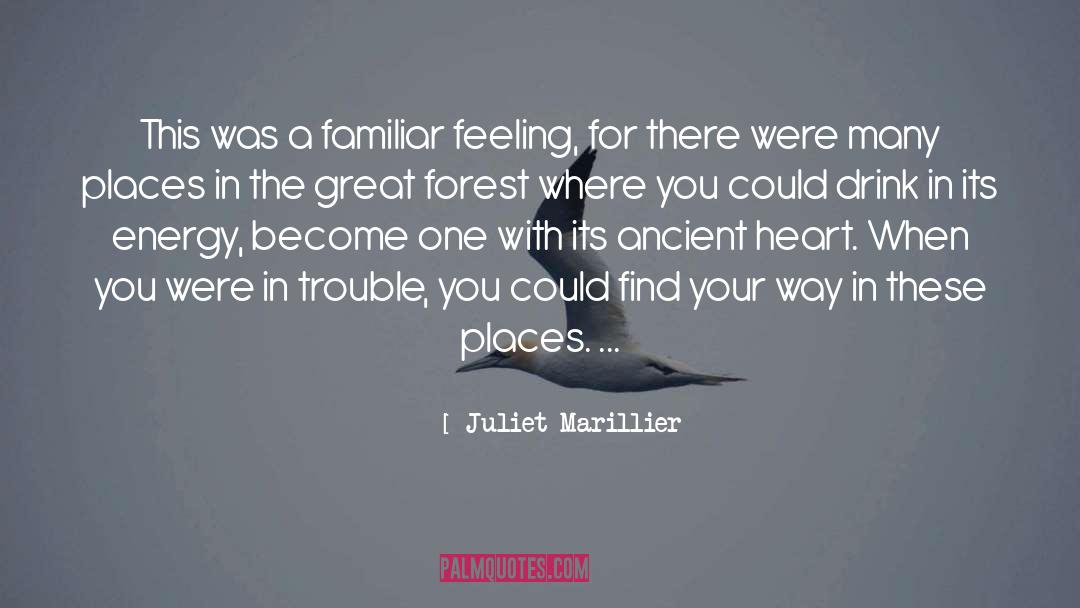 Asking For Trouble quotes by Juliet Marillier