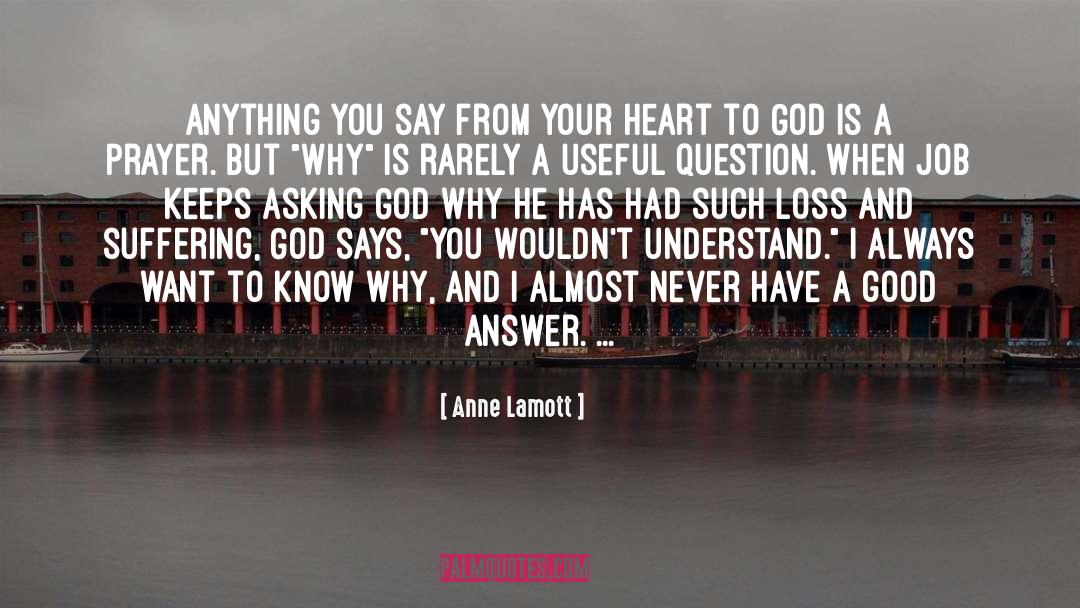 Asking God quotes by Anne Lamott