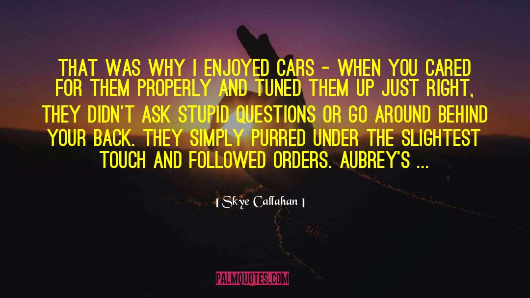 Asking The Right Questions quotes by Skye Callahan
