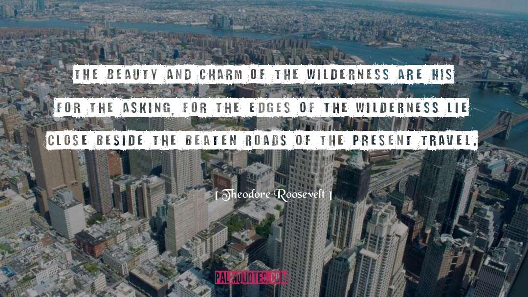Asking Wilderness quotes by Theodore Roosevelt