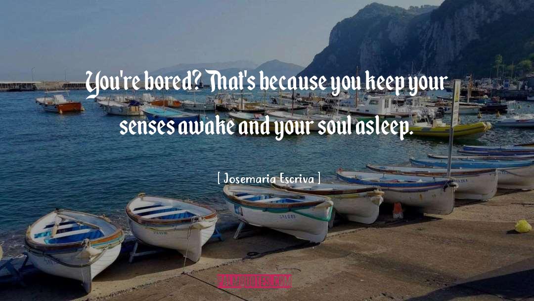 Asleep quotes by Josemaria Escriva