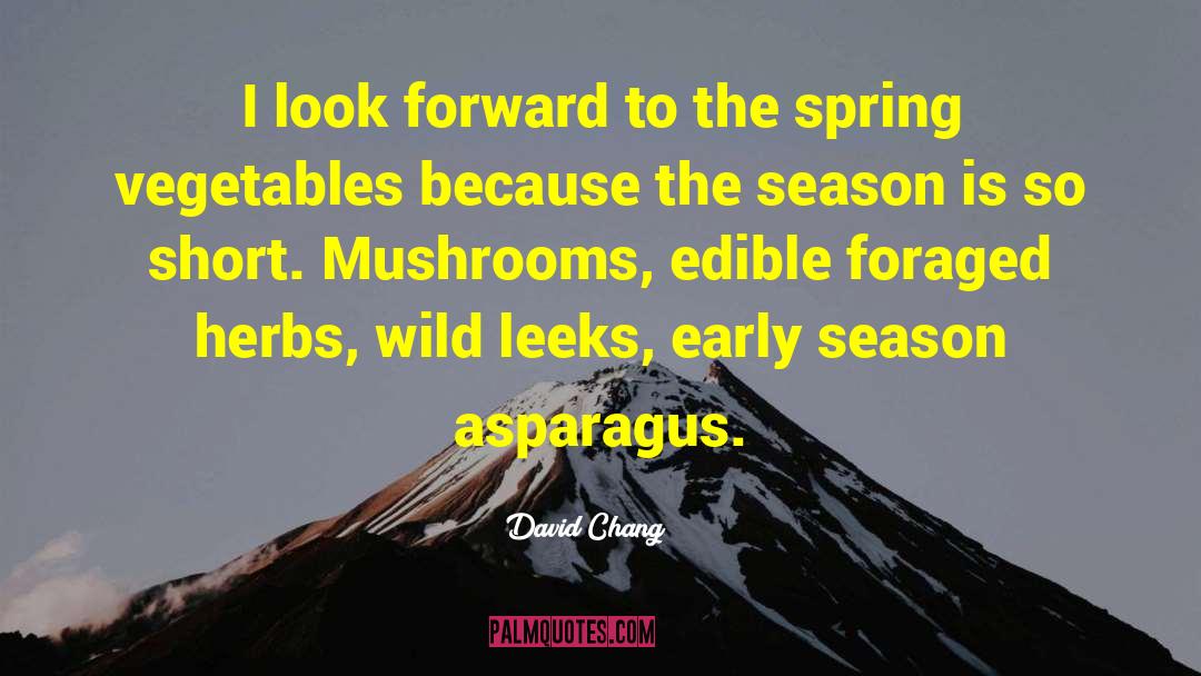 Asparagus quotes by David Chang