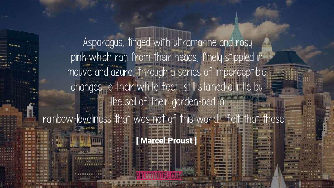 Asparagus quotes by Marcel Proust