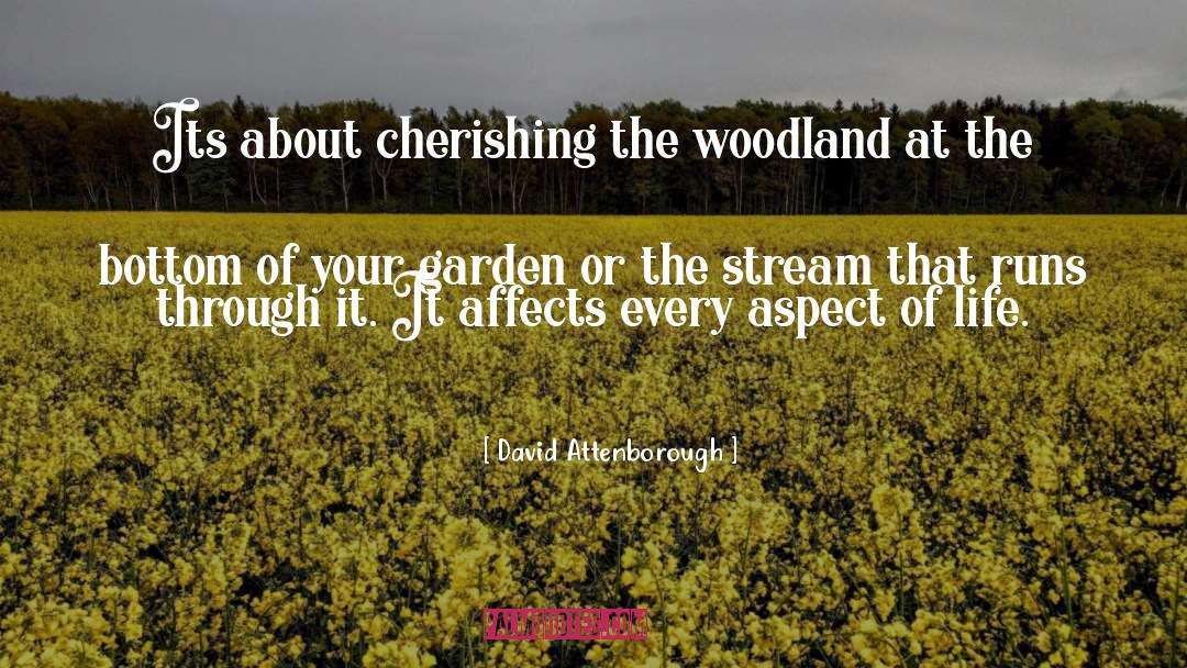 Aspect quotes by David Attenborough