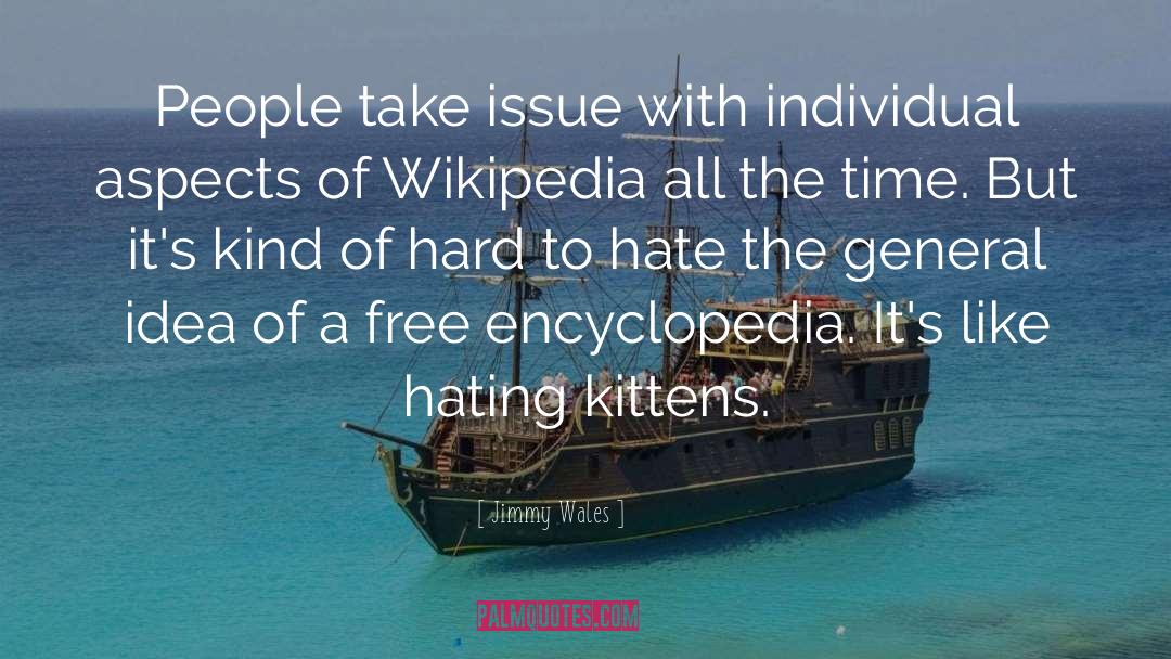 Aspects quotes by Jimmy Wales