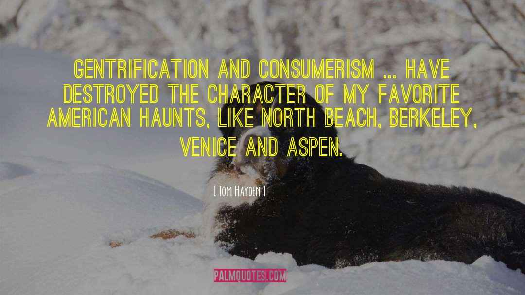 Aspens quotes by Tom Hayden
