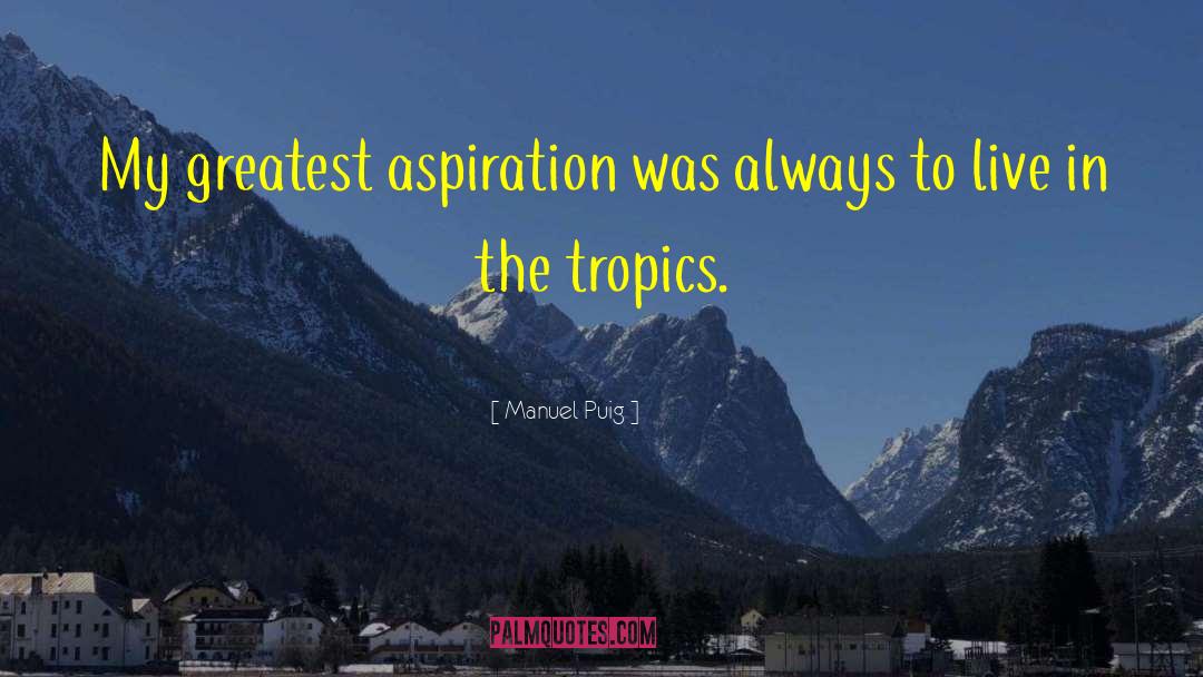 Aspiration Perspiration quotes by Manuel Puig