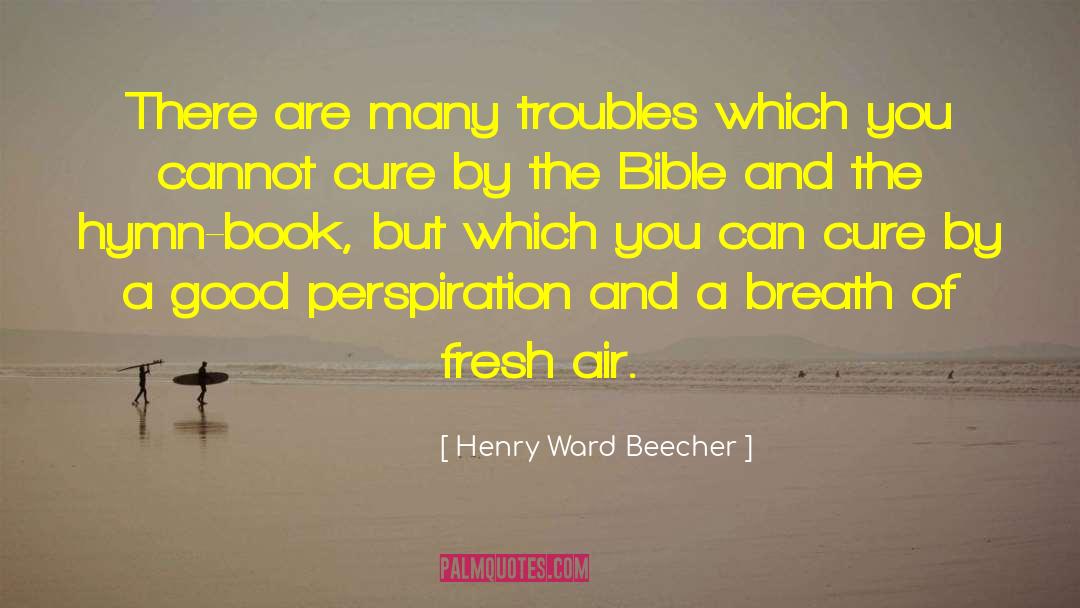 Aspiration Perspiration quotes by Henry Ward Beecher