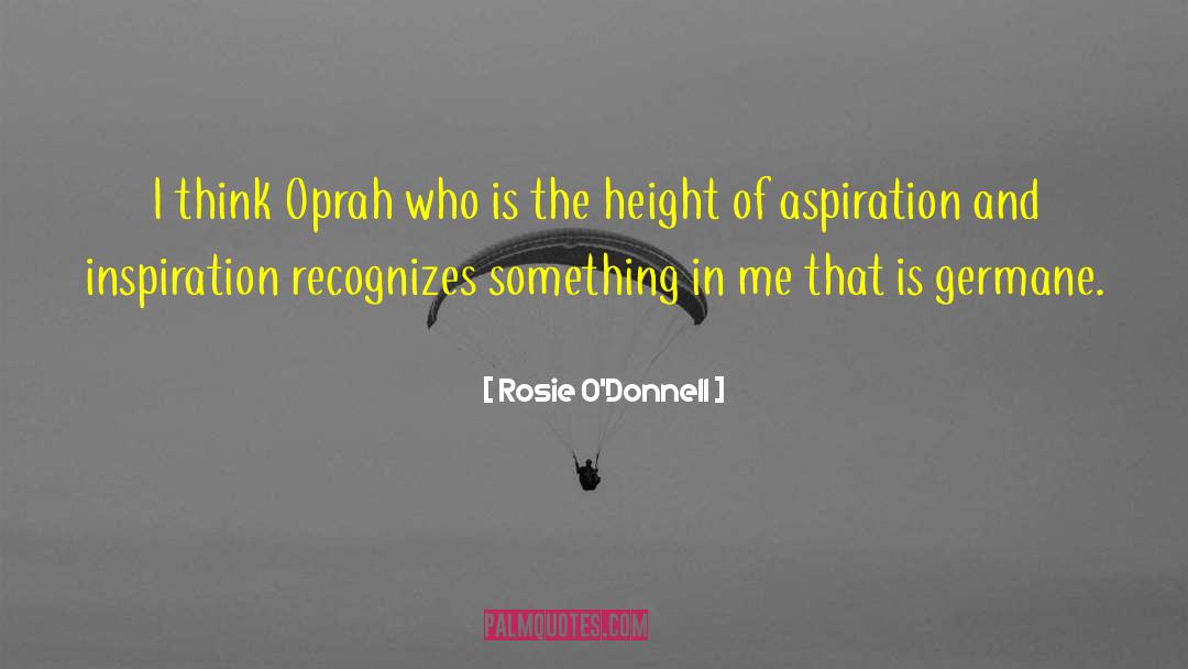 Aspiration Perspiration quotes by Rosie O'Donnell