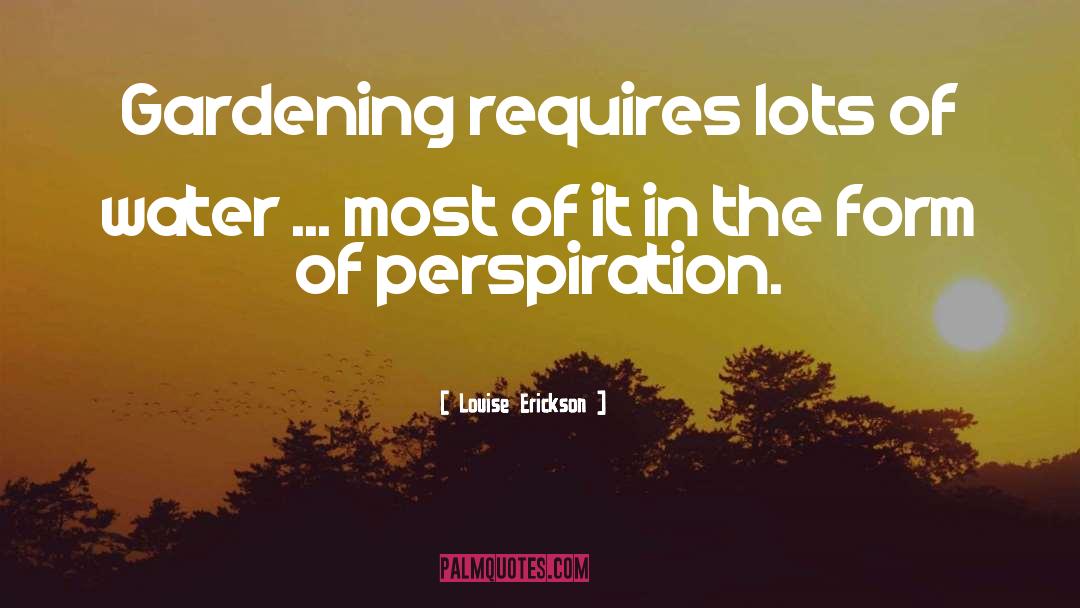 Aspiration Perspiration quotes by Louise Erickson