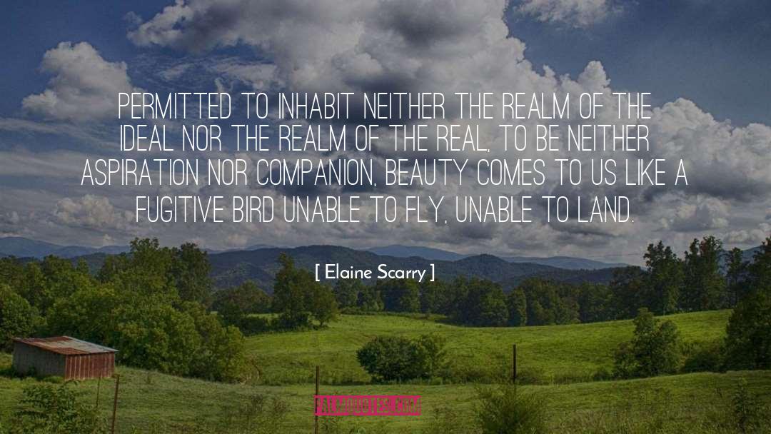 Aspiration quotes by Elaine Scarry