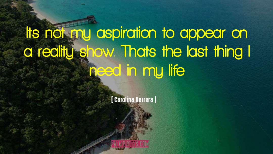 Aspiration quotes by Carolina Herrera