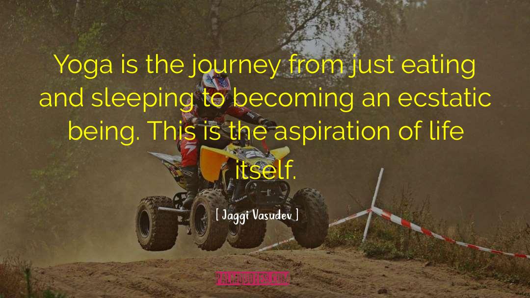 Aspiration quotes by Jaggi Vasudev