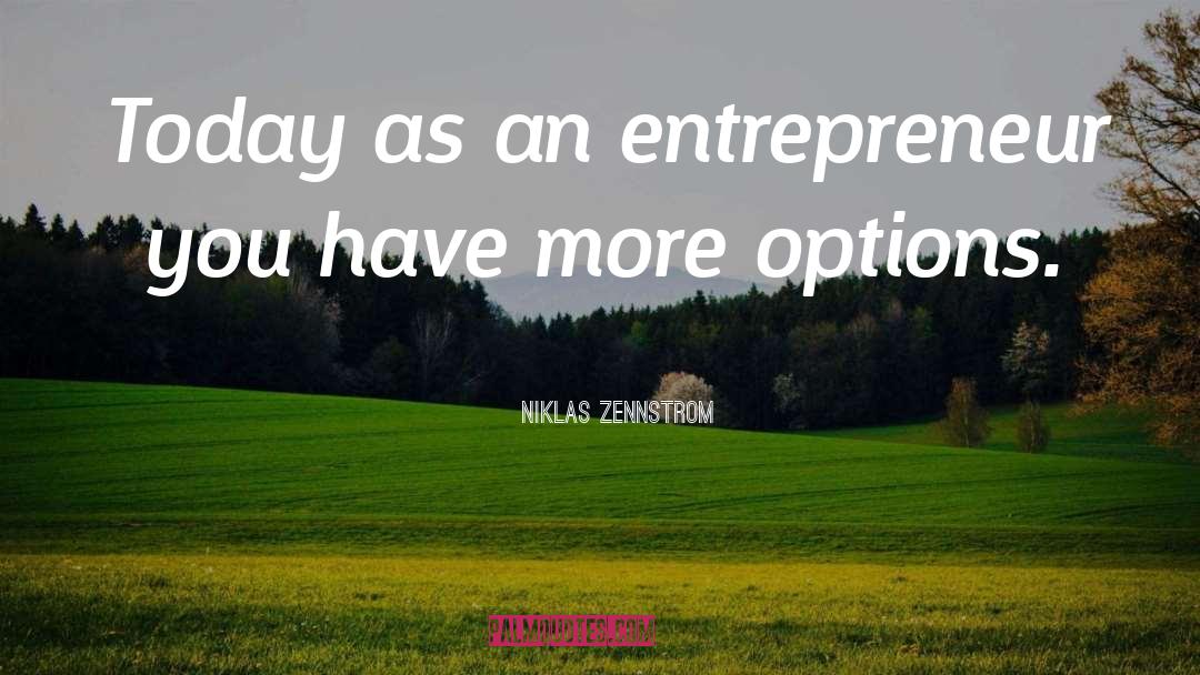 Aspiring Entrepreneur quotes by Niklas Zennstrom