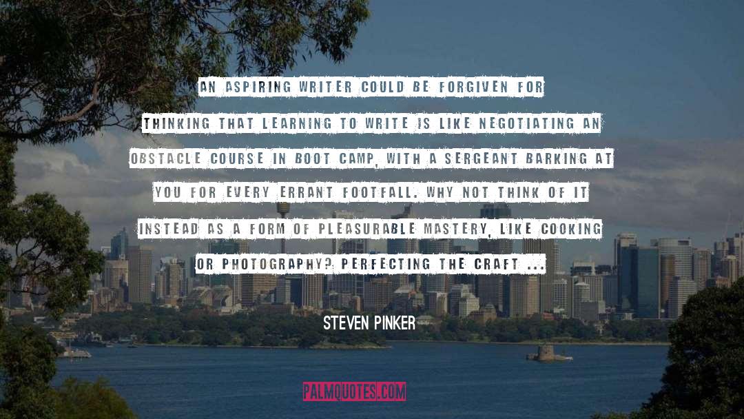 Aspiring Writer quotes by Steven Pinker