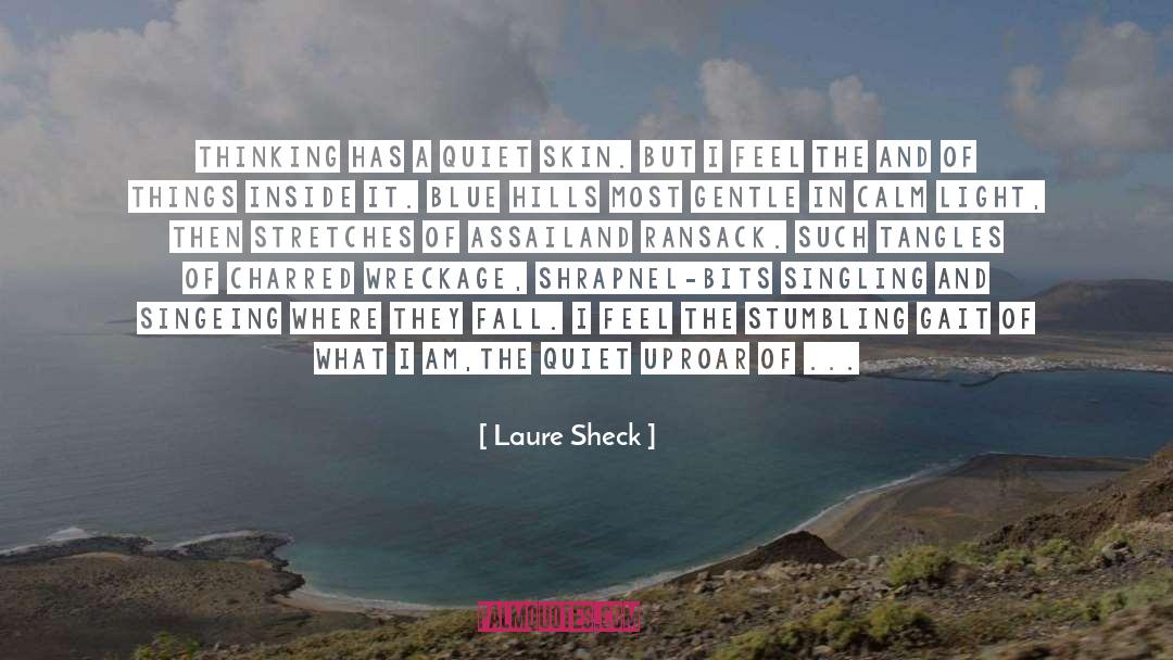 Assail quotes by Laure Sheck