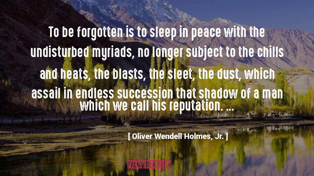 Assail quotes by Oliver Wendell Holmes, Jr.