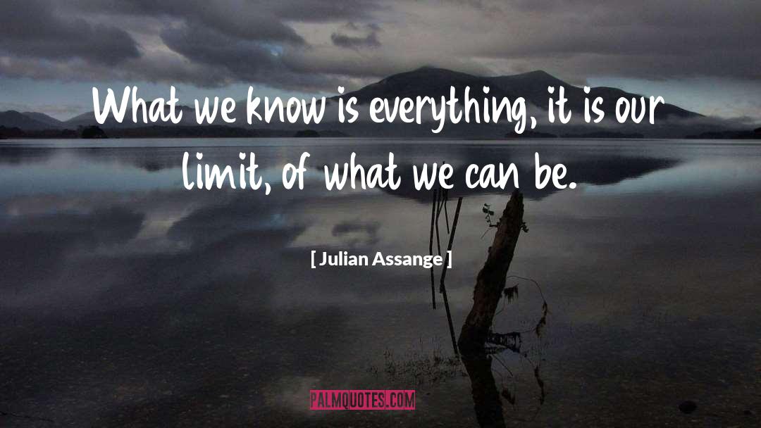 Assange quotes by Julian Assange