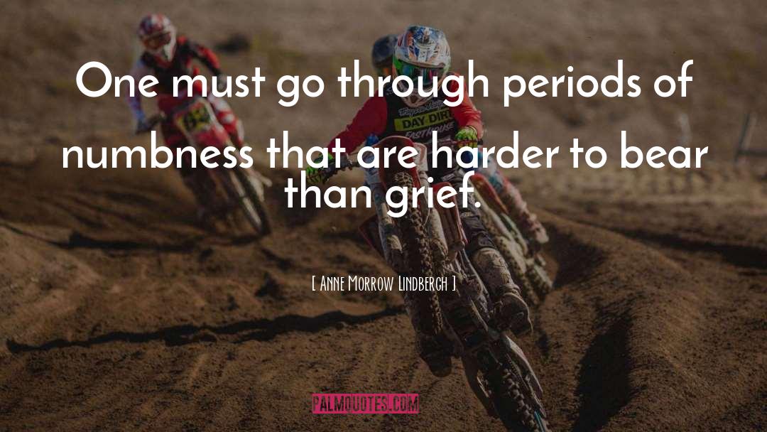 Assassin Grief quotes by Anne Morrow Lindbergh