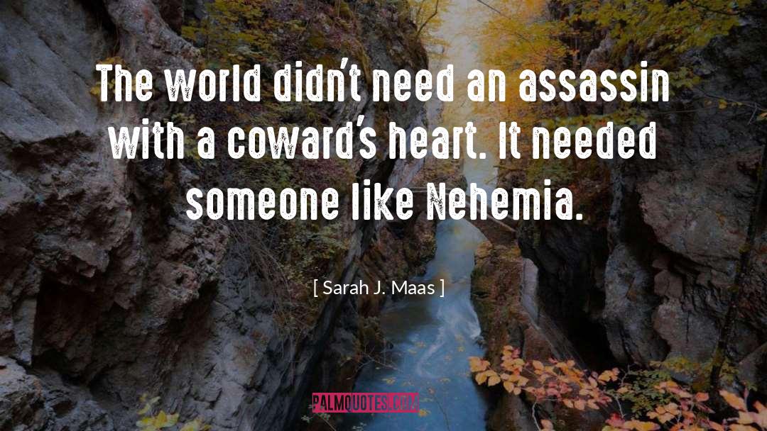 Assassin quotes by Sarah J. Maas