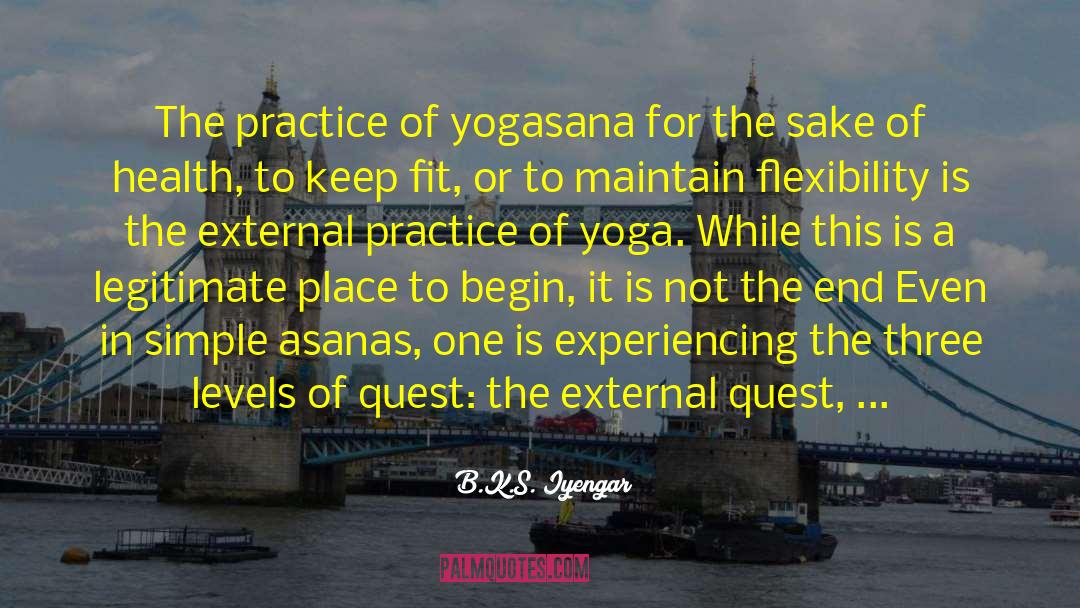 Assassin S Quest quotes by B.K.S. Iyengar