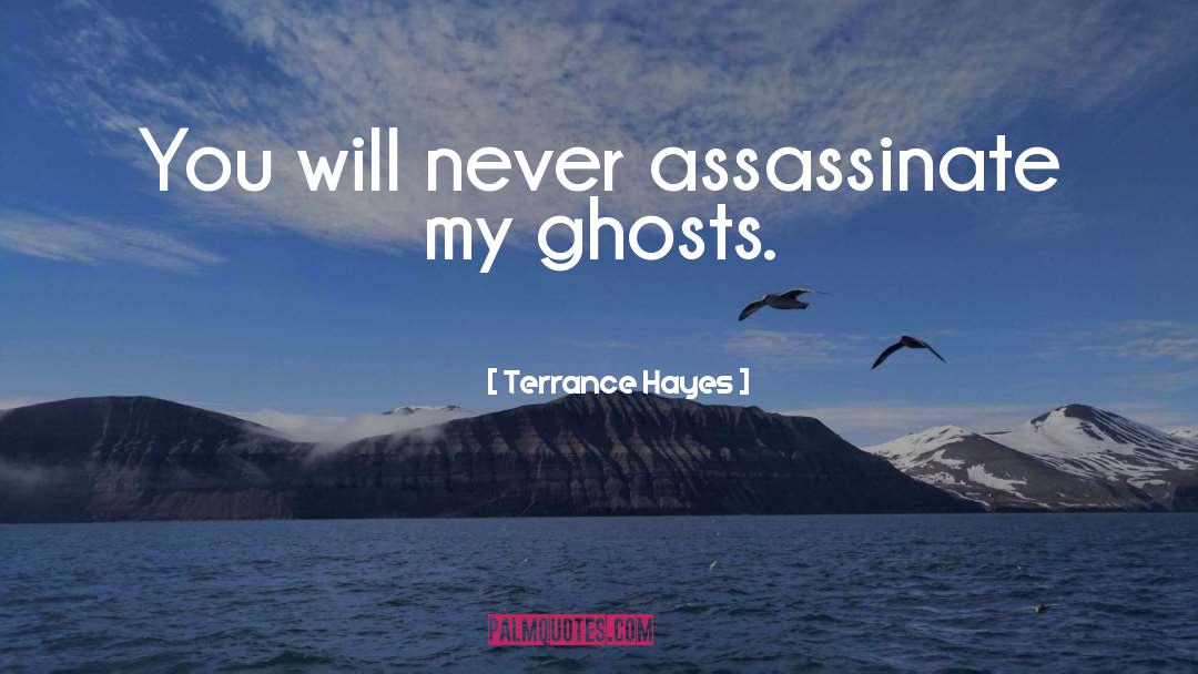 Assassinate quotes by Terrance Hayes