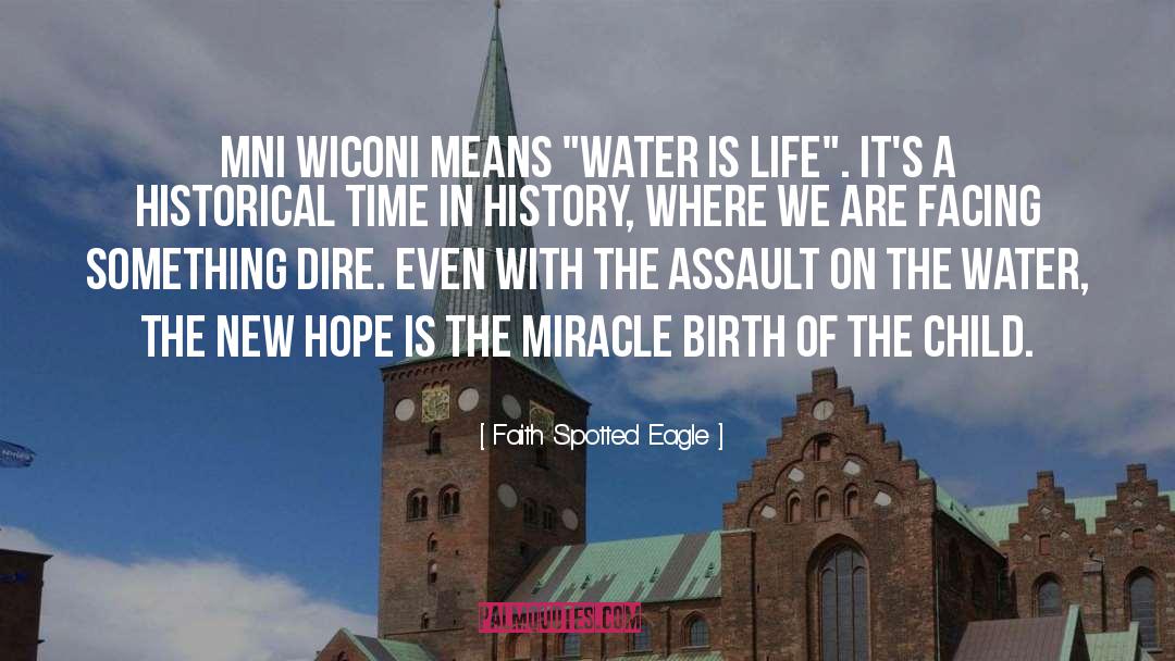 Assault quotes by Faith Spotted Eagle