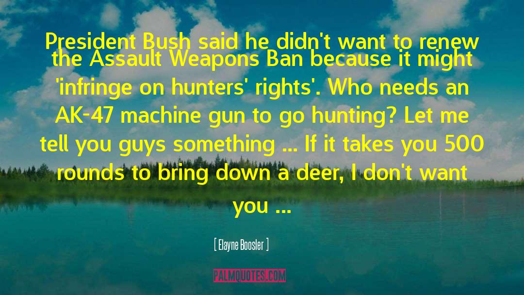 Assault Weapons quotes by Elayne Boosler