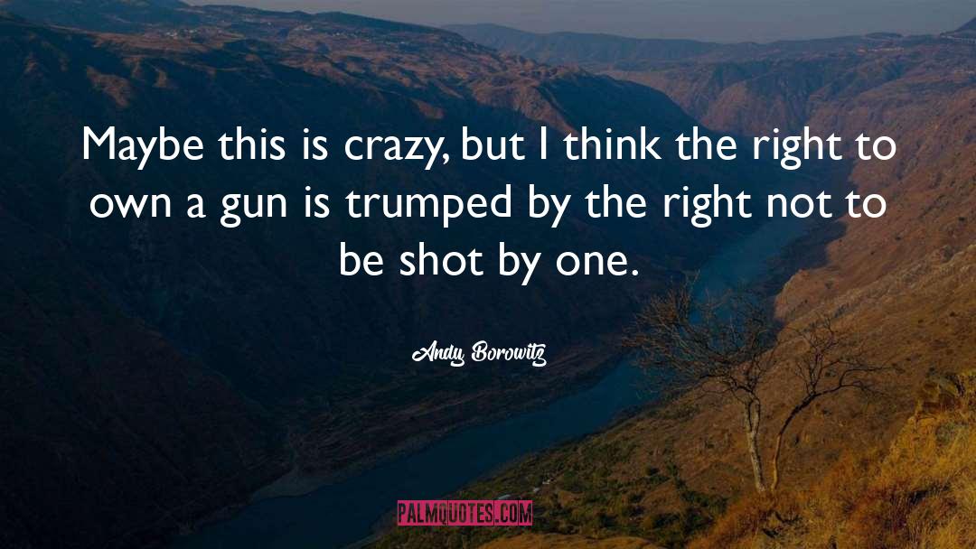 Assault Weapons quotes by Andy Borowitz