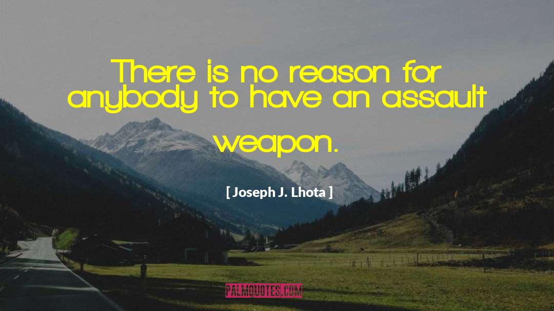 Assault Weapons quotes by Joseph J. Lhota