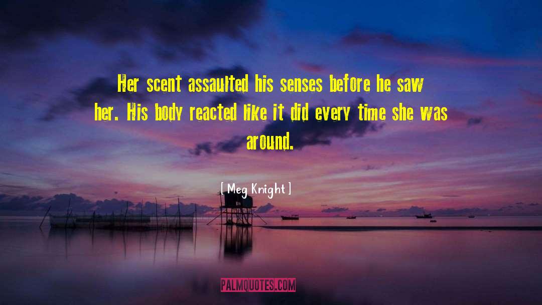 Assaulted quotes by Meg Knight