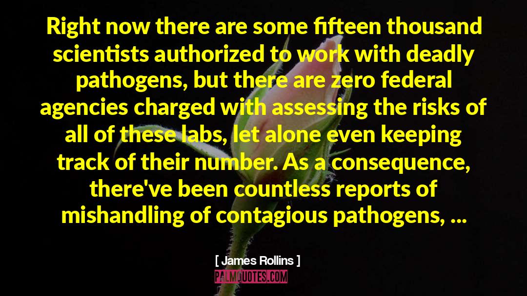 Assessing quotes by James Rollins