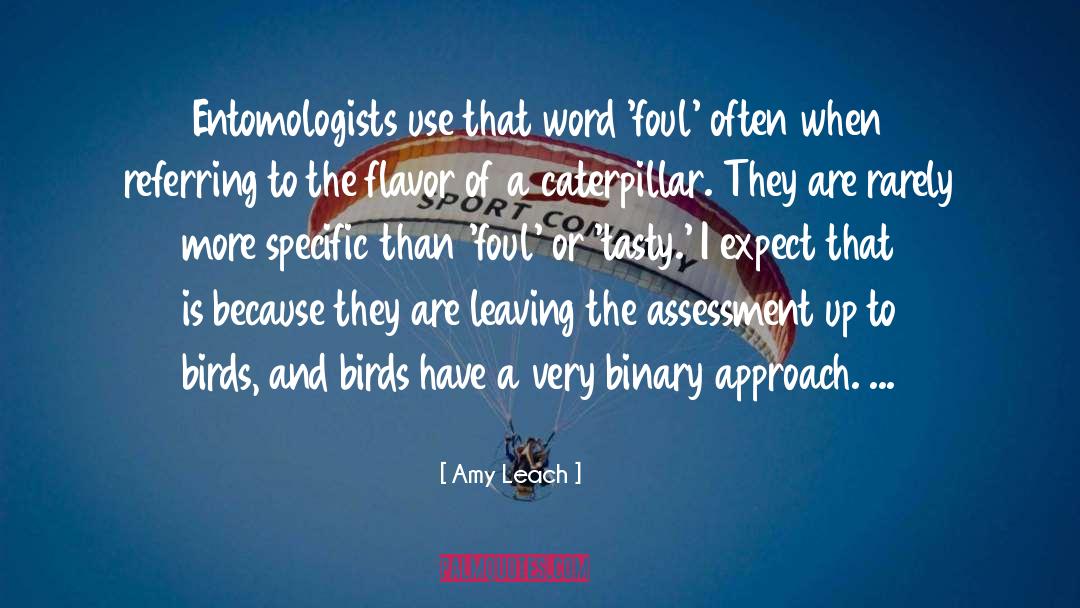 Assessment quotes by Amy Leach
