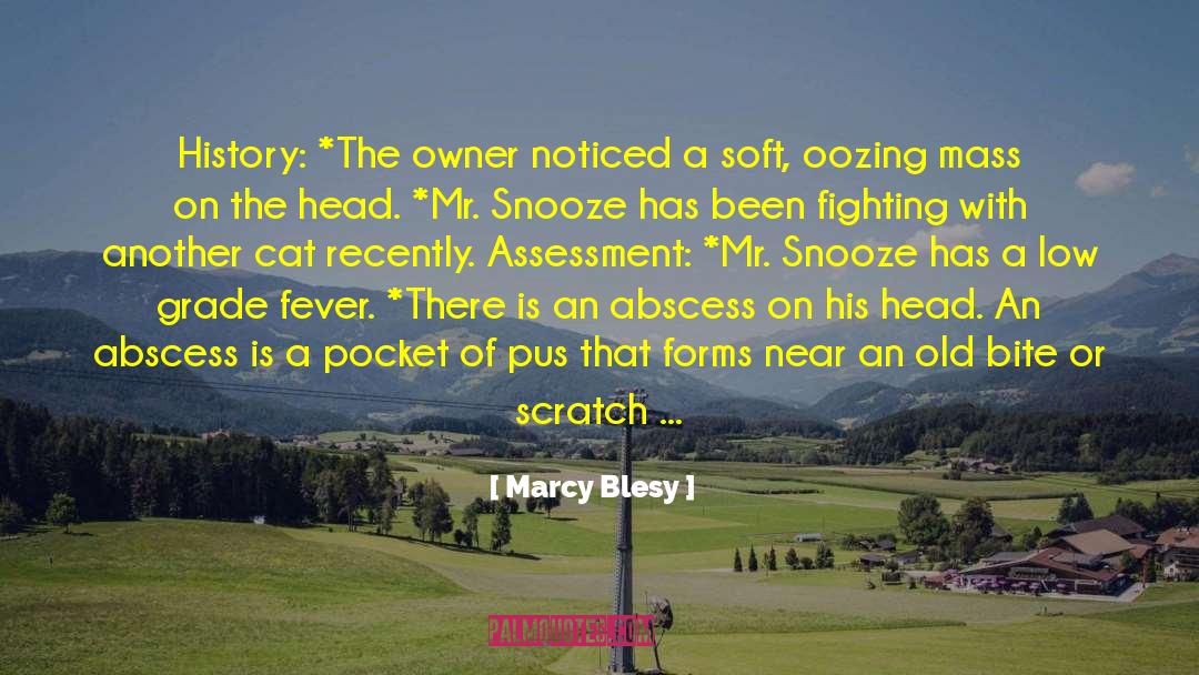 Assessment quotes by Marcy Blesy