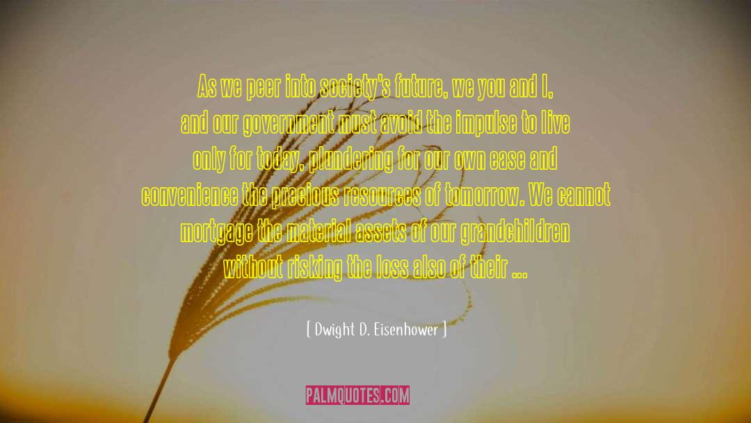 Assets And Liabilities quotes by Dwight D. Eisenhower