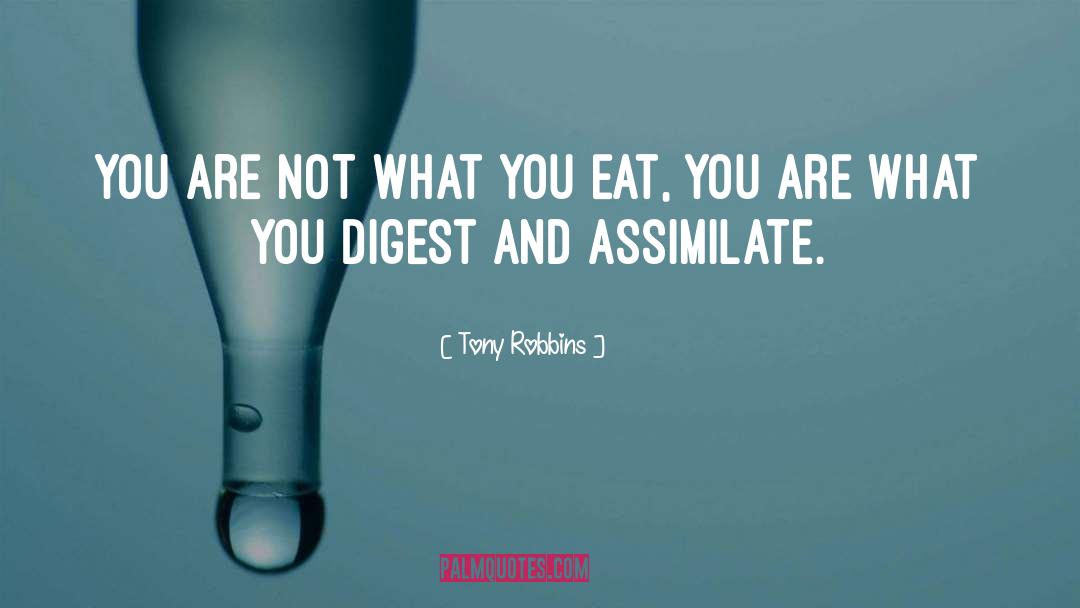 Assimilate quotes by Tony Robbins