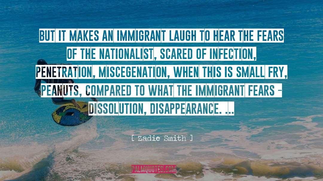 Assimiliation quotes by Zadie Smith