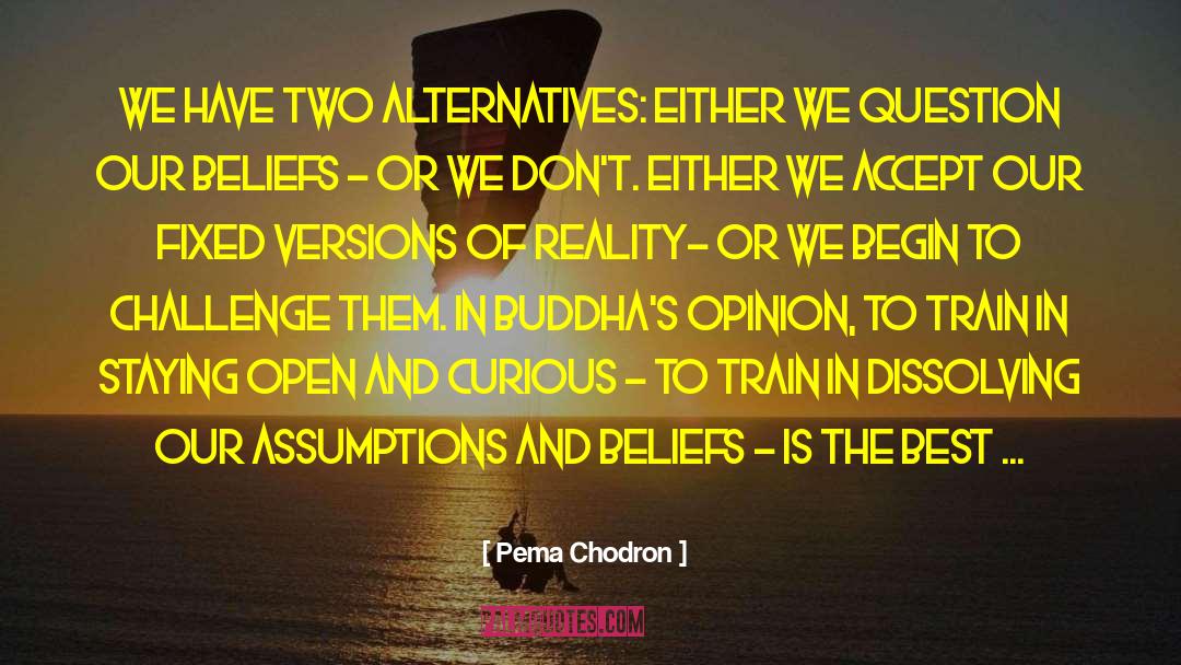 Assumptions quotes by Pema Chodron