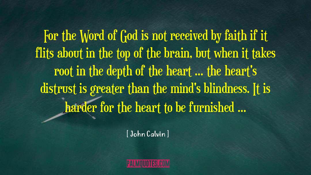 Assurance For Love quotes by John Calvin